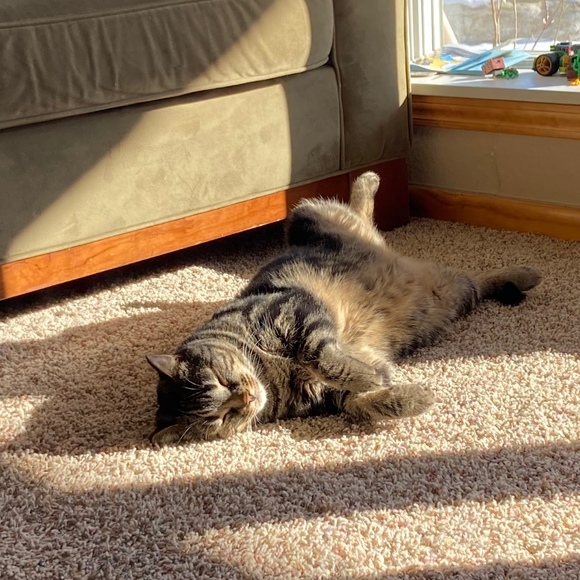 whiskers1119